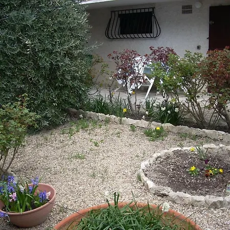 239 Les Salicornes Apartmán